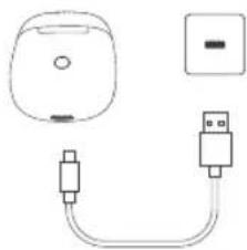 Essentiel B EBTWS10 - chargement de la batterie de l'étui et des écouteurs - 1