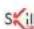 Skillkorp SKP H21 - \_ONGLET MIC - 2