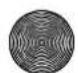 SILVERCREST SHBS 3.7 B1 - NOTES: - 2