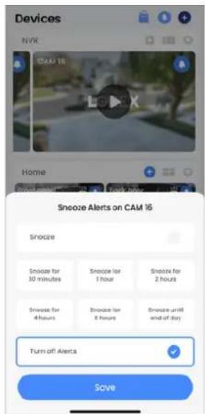 Lorex N910A61 - Pour désactiver les notifications en double : - 2
