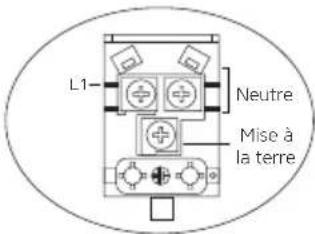 Orima OR-649-XE - Schéma De Câblage - 5