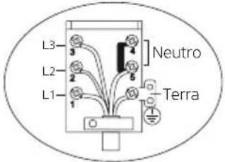 Orima OR-649-XE - Esquema De Ligações - 2