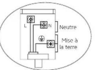Orima OR-649-XE - Schéma De Câblage - 6