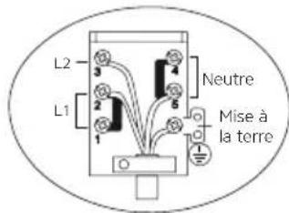 Orima OR-649-XE - Schéma De Câblage - 4
