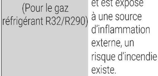 BEKO BGMPO 141 - Signification des pictogrammes - 8