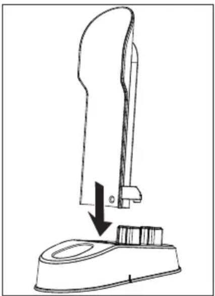 MEDION LIFE P200 (MD 11515) - Aufbewahrungsstation zusammenbauen und aufstellen - 1