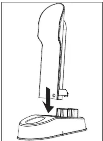 MEDION LIFE P200 (MD 11515) - Montaggio e posizionamento della base di appoggio - 1