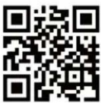 MEDION LIFE P200 (MD 11515) - Serviceinformationen - 1