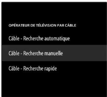 MEDION LIFE X8652503 (MD 865500) - CÂBLE - RECHERCHE AUTOMATIQUE - 1