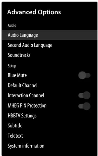 MEDION LIFE P8402500 (MD 840100) - Advanced options menu - 1