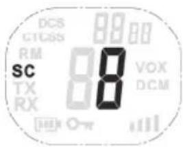 SILVERCREST SFG 8000 B2 - Searching for an active channel - 1