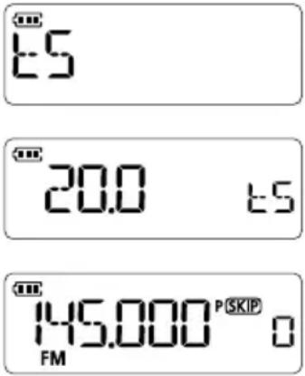 ICOM IC-T10 - Beispiel: Auswahl eines 20-kHz-Abstimmschritts - 1
