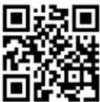 MEDION MD 12027 - Pays-Bas - 1