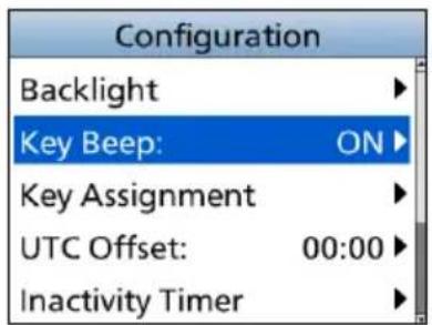 Configuration Backlight Key Beep: ON Key Assignment UTC Offset: 00:00 Inactivity Timer