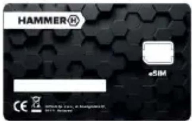 Hammer Iron 6 - —VEDEREA— - 2
