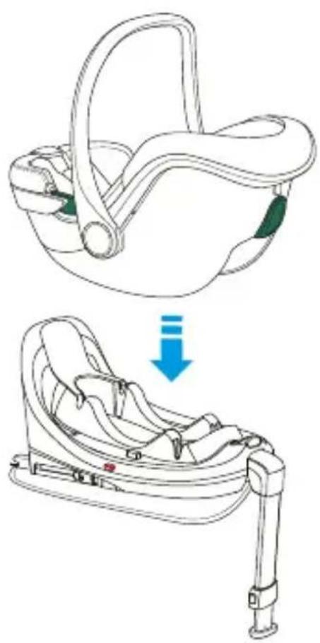 Foppapedretti TicToc i-Size - USO DE LA SILLA DE COCHE - 1