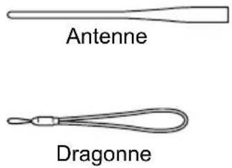 Antenne Dragonne