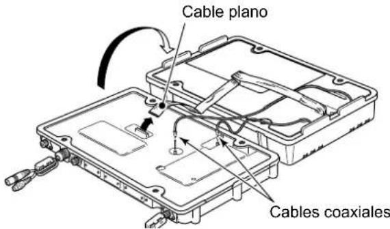 ICOM GM800 - Fustitución de los fusibles - 2