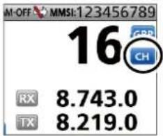 ICOM GM800 - Exemple - 2