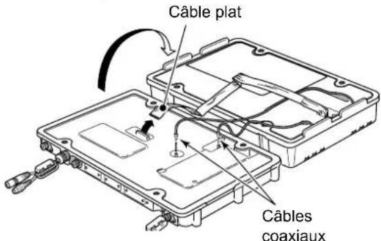 Câble plat Câbles coaxiaux