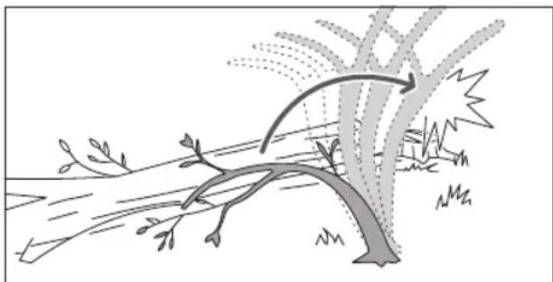 RYOBI One+ RY18PS15A - TAGLIARE RAMI DA UN ALBERO ABBATTUTO - 2