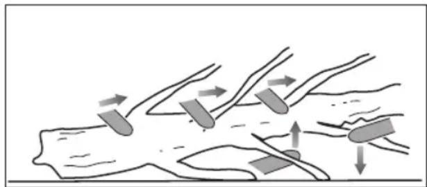 RYOBI One+ RY18PS15A - ODVĚTVOVÁNÍ STROMU - 1