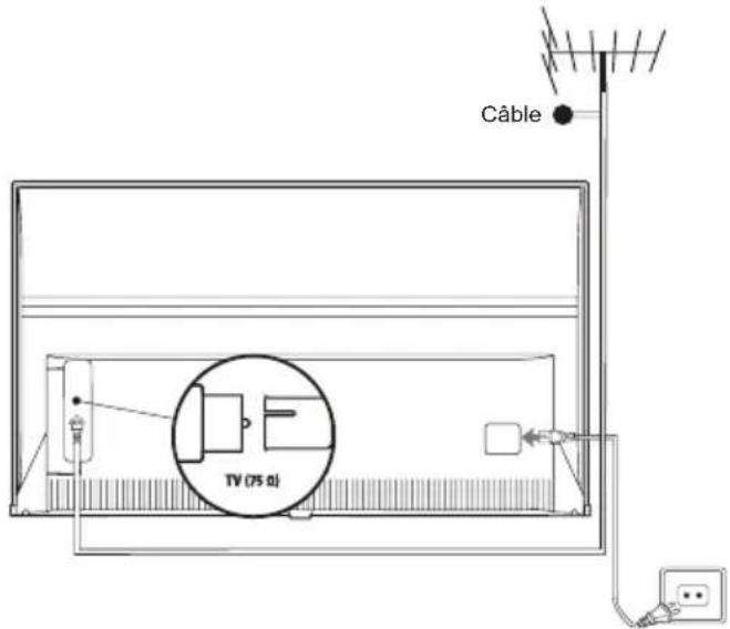 TCL 85C9K - Branchez l'alimentation et l'antenne - 1