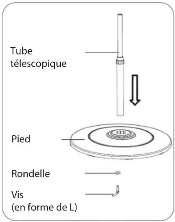 Tube télescopique Pied Rondelle Vis (en forme de L)