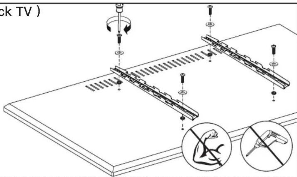 ErgoAV ERTSL2-01B - Select TV Bolts - 14