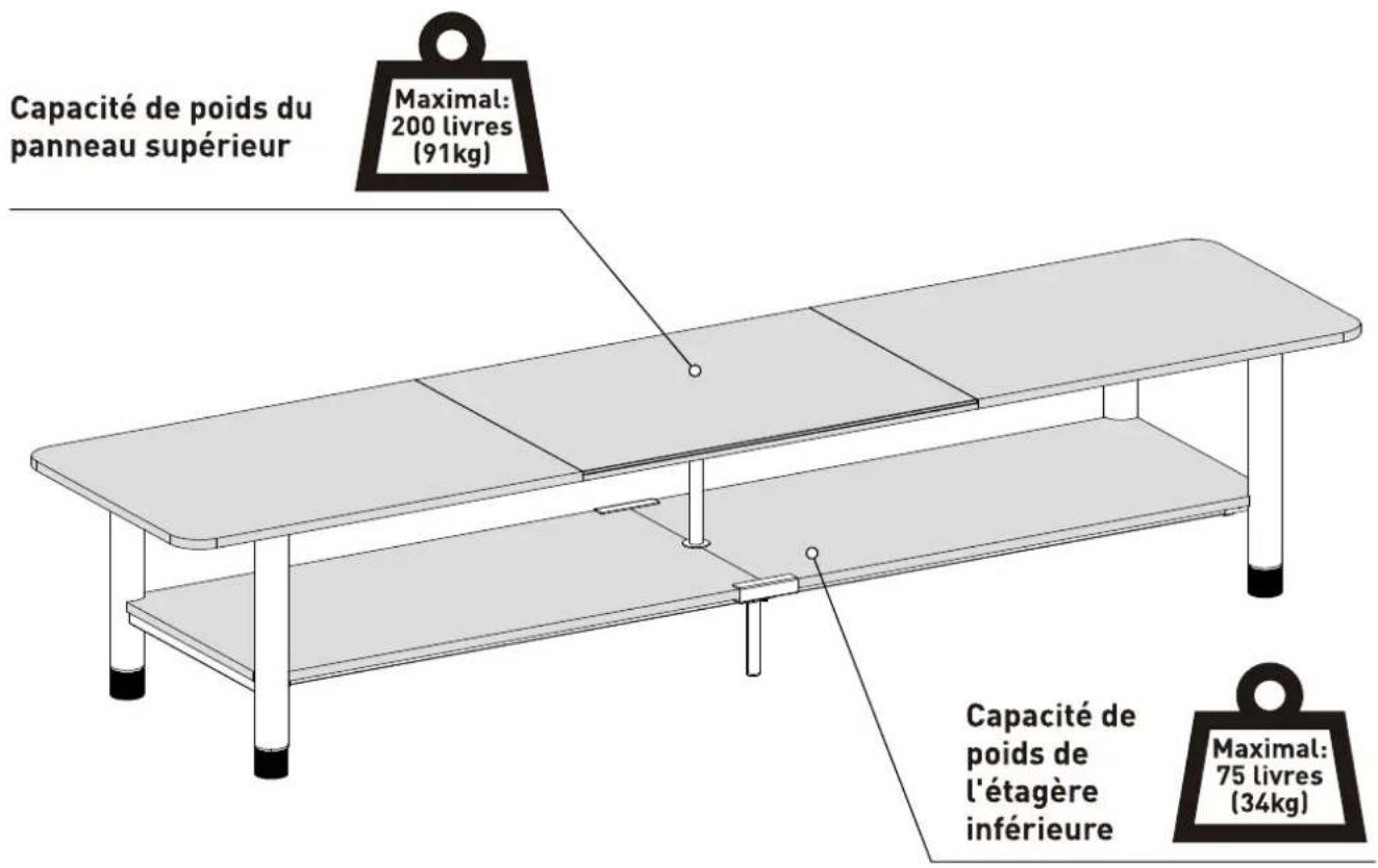 ErgoAV ERTFX1-01B - Restrictions de poids - 1