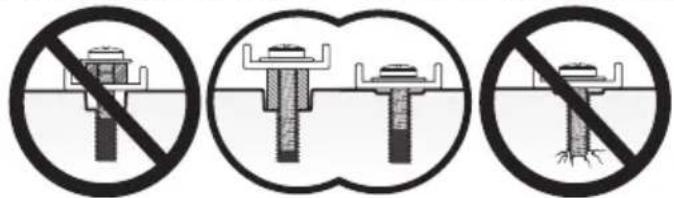 ErgoAV ERMTL1-01B - Select TV Bolts - 3