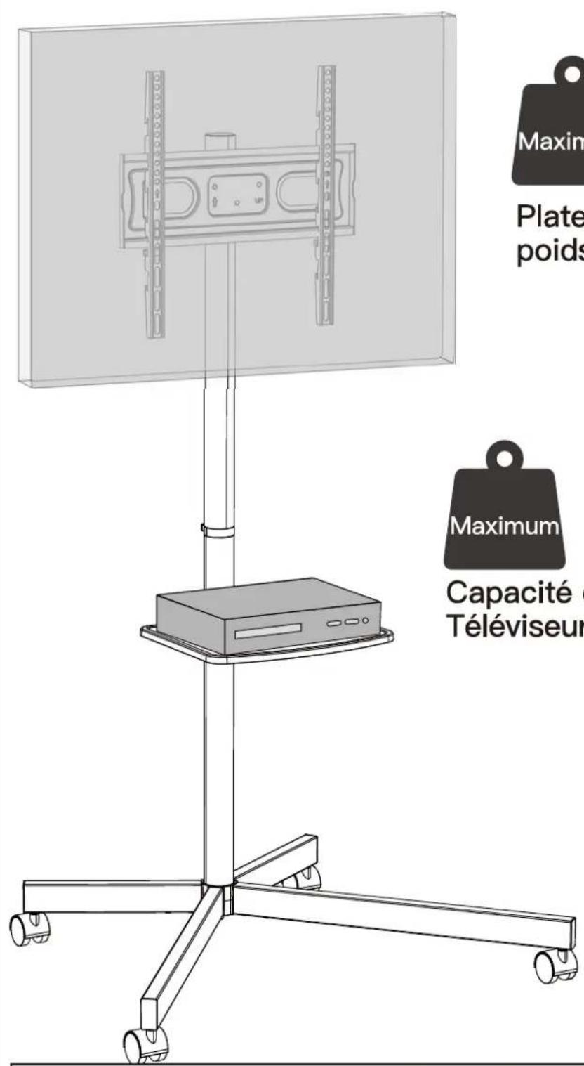 ErgoAV BETCM1-01B - Restrictions de poids - 1