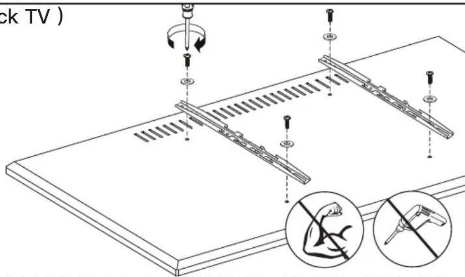 ErgoAV ERTSM1-01B - Select TV Bolts. - 8