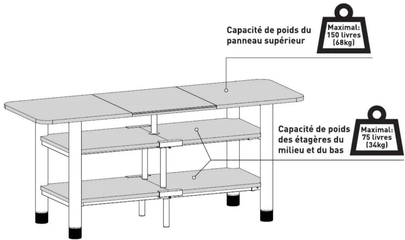 ErgoAV ERTFL1-01B - Restrictions de poids - 1
