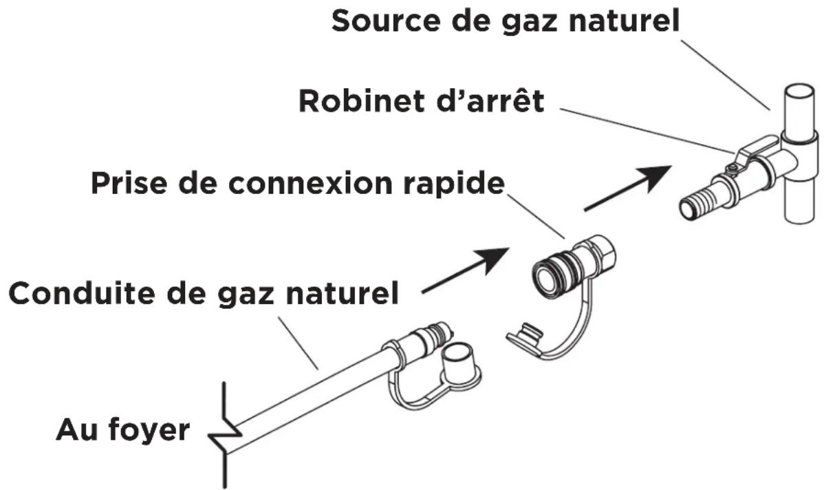 Blaze Outdoor BLZ-60-FTABLE-NG - Brancher le foyer à l'alimentation en gaz naturel: - 1