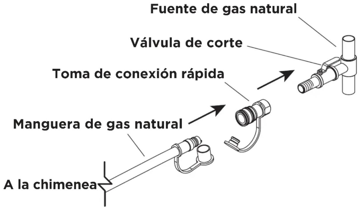 Blaze Outdoor BLZ-60-FTABLE-NG - Conecte la chimenea a la fuente de gas natural: - 1