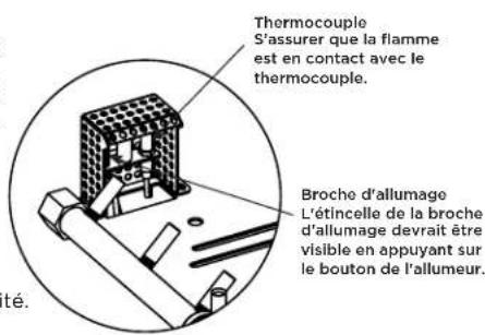 Blaze Outdoor BLZ-38-FBOWL-LP - Si le foyer ne s'enflamme pas - 1