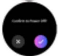ICE Watch Smart 3.0 Round 1.20 - INSTRUCTIONS D'UTILISATION - 6