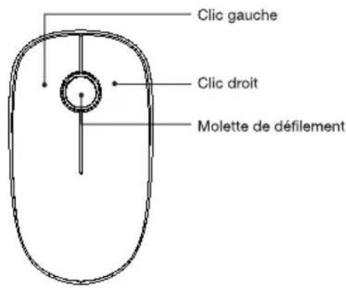Essentiel B M-24-SF_F - Caractéristiques techniques - 1