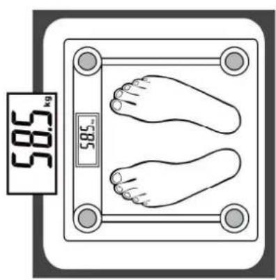 Essentiel B Flocon - Pesée - 1