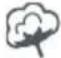 Essentiel B ESLHP10-2b - ATTENTION - 3