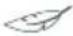 Essentiel B ESLHP10-2b - ATTENTION - 10