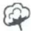 Essentiel B ESLHP10-2b - WAARSCHUWING - 3