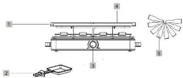 Essentiel B ERGP7 - Description de l'appareil - 1