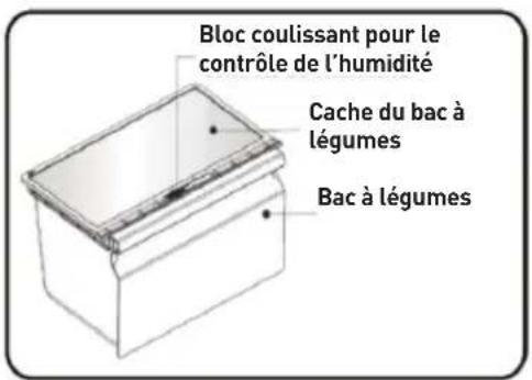 Essentiel B ERDV165-55s3 - Bac à légumes - 1