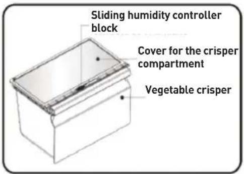 Essentiel B ERDV165-55s3 - Vegetable crisper - 1