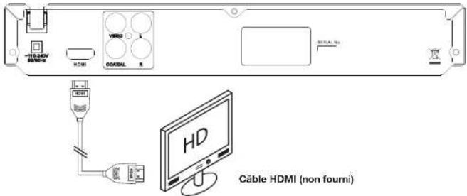 Essentiel B DVD Color - BRANCHEMENT HDMI - 1