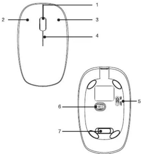 Essentiel B READY - Description de l'appareil - 1