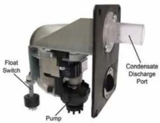 HAIER USYM48UCDDA - Condensate Handling - 1
