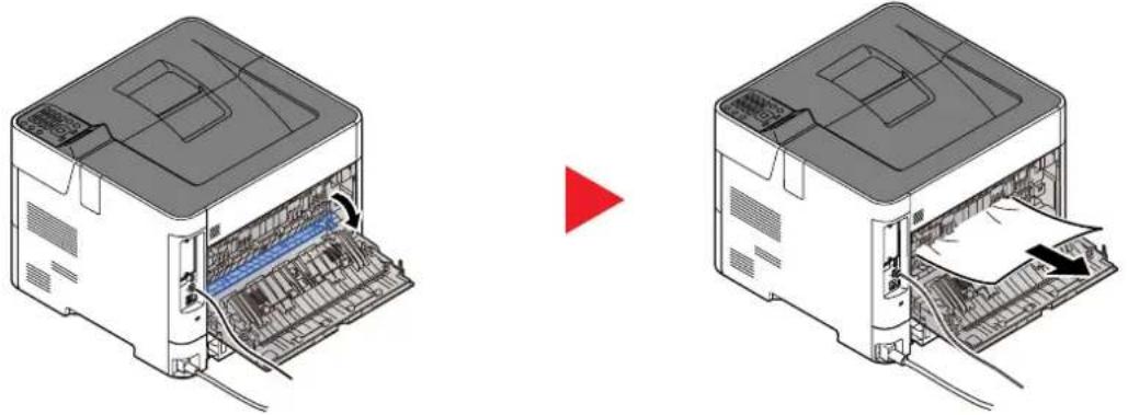 KYOCERA ECOSYS P4145dn - Unité recto-verso - 13